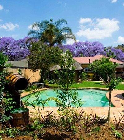 1322 Backpackers International Hostel Pretoria-Noord Exterior foto
